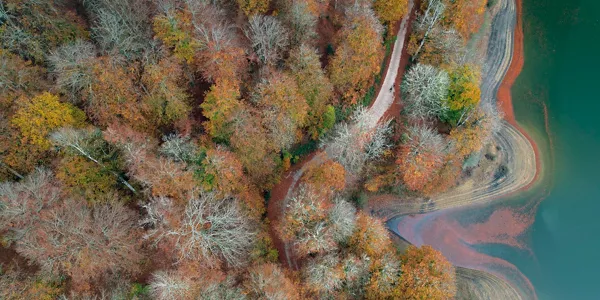 Pantano de Irabia y bosque de Irati, a vista de dron. EFE.