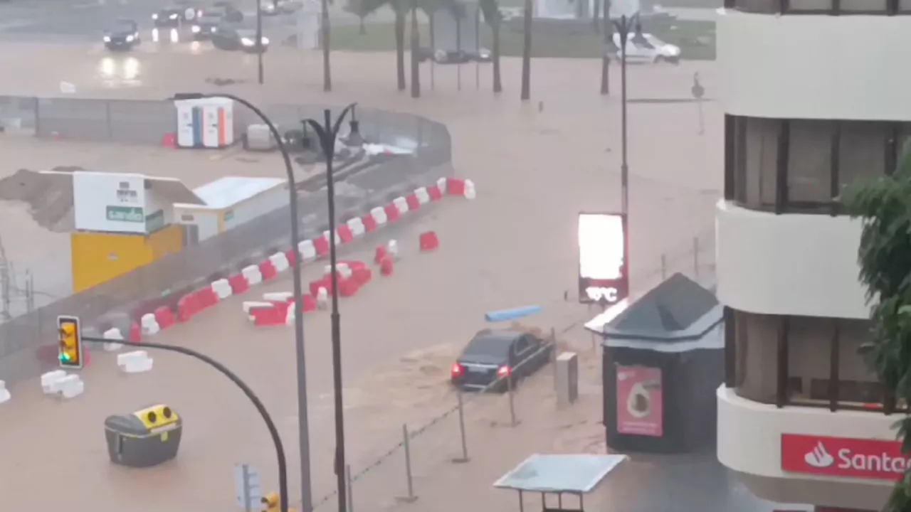 20241113205752_goidi-malaga_