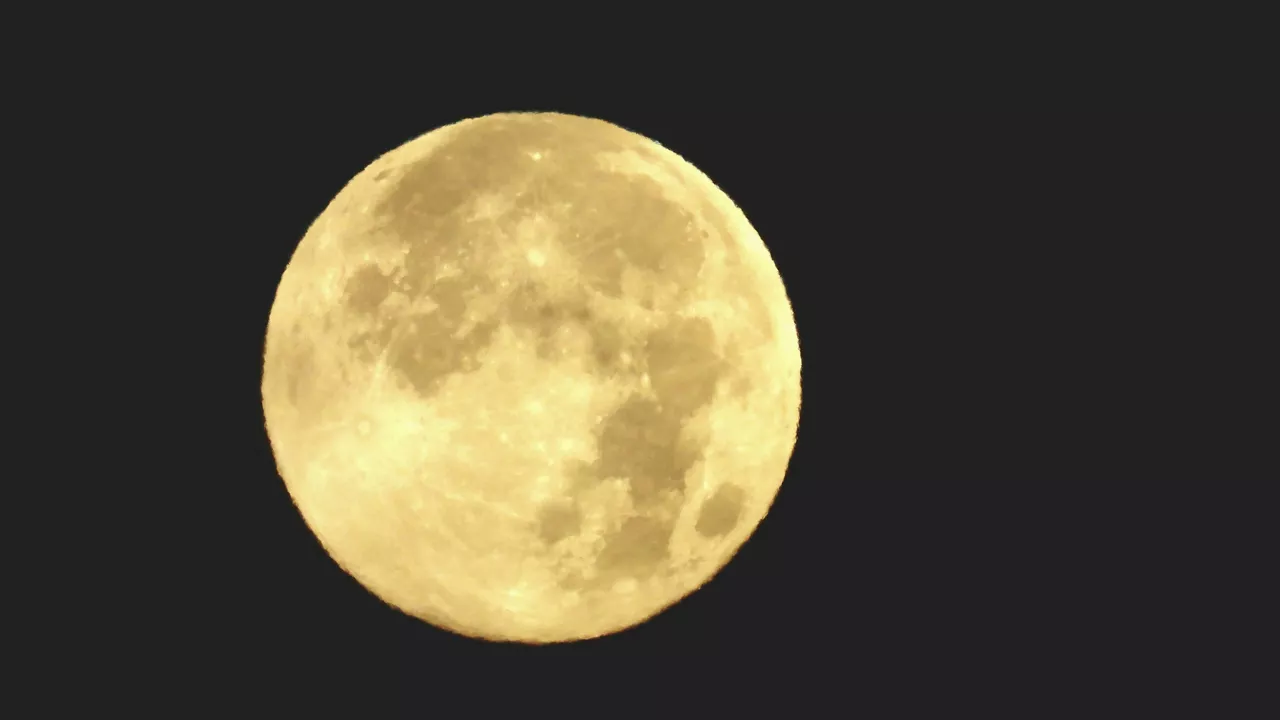 LUNA DEL CASTOR SUPERILARGIA NAFARROA JOXE ZUBIETA