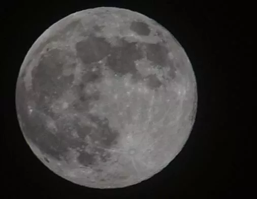 LUNA DEL CASTOR SUPERILARGIA  DONOSTIA TXOMIN REZOLA