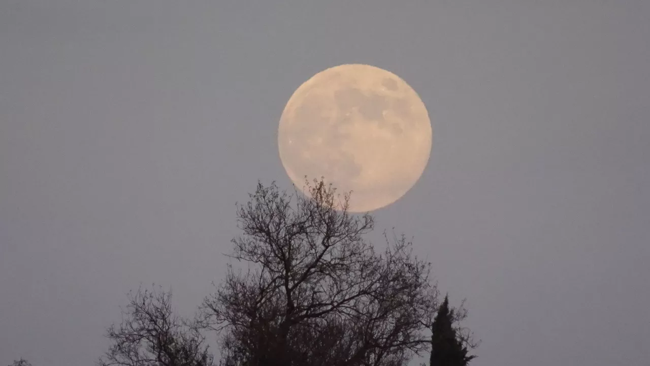 LUNA DEL CASTOR SUPERILARGIA LUMBIER IRUNBERRI ANGELES REBOLE
