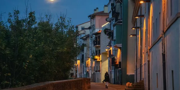Iruña. Iñaki Sola.