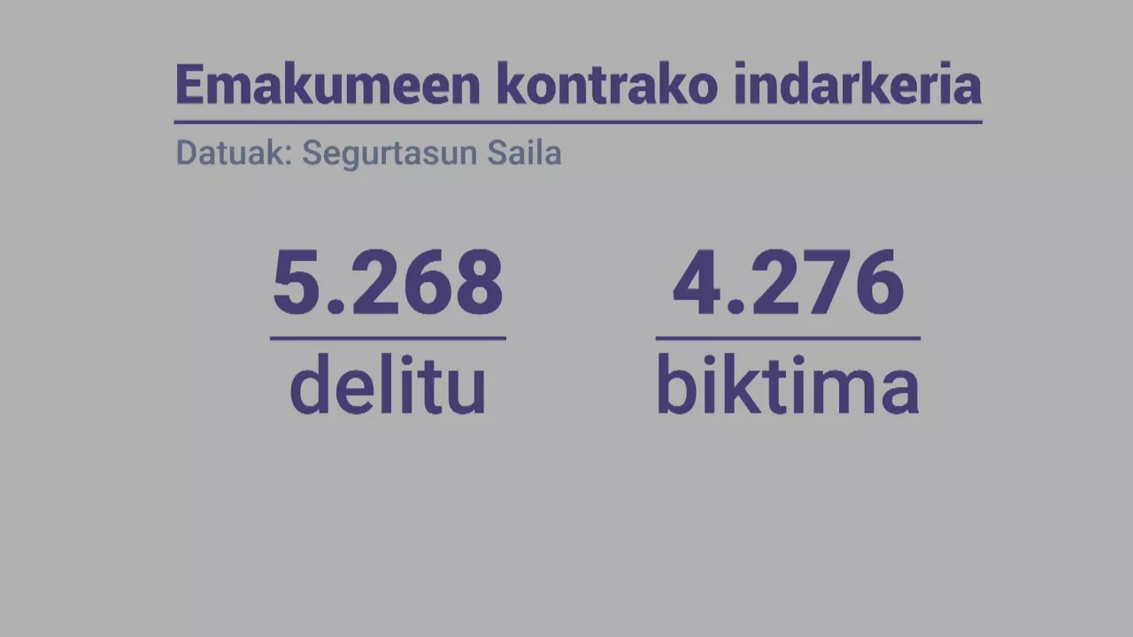 4.276 emakumek indarkeria matxistarekin lotutako 5.268 delitu salatu dituzte