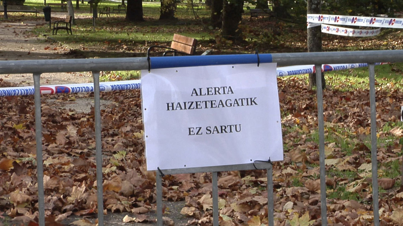 20241124143702_haizea_