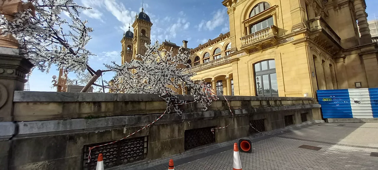 ARBOL DE NAVIDAD DERRIBADO POR EL VIENTO