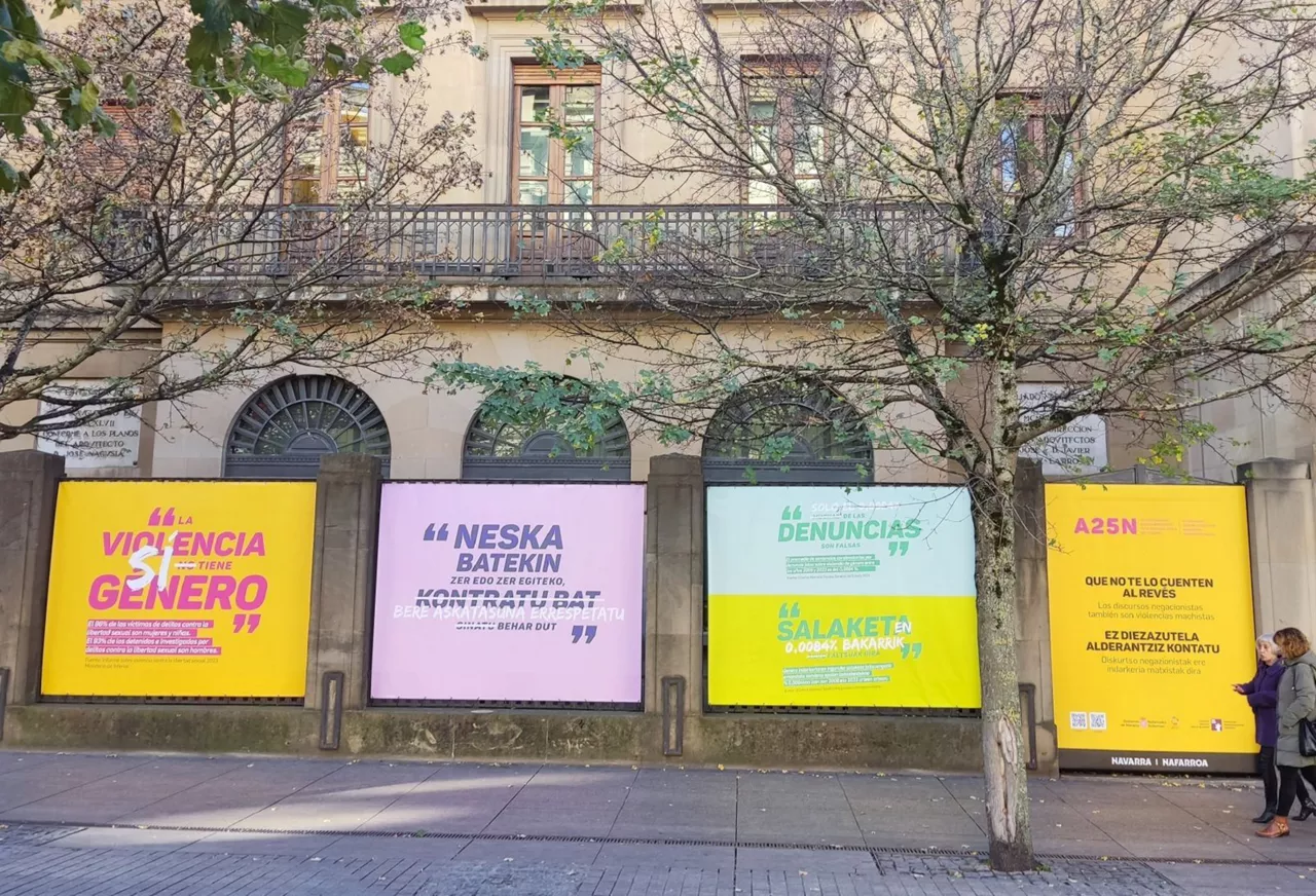 Campaña 25N navarra