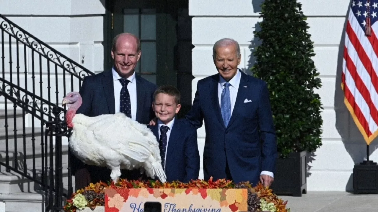 20241126093759_pavo_