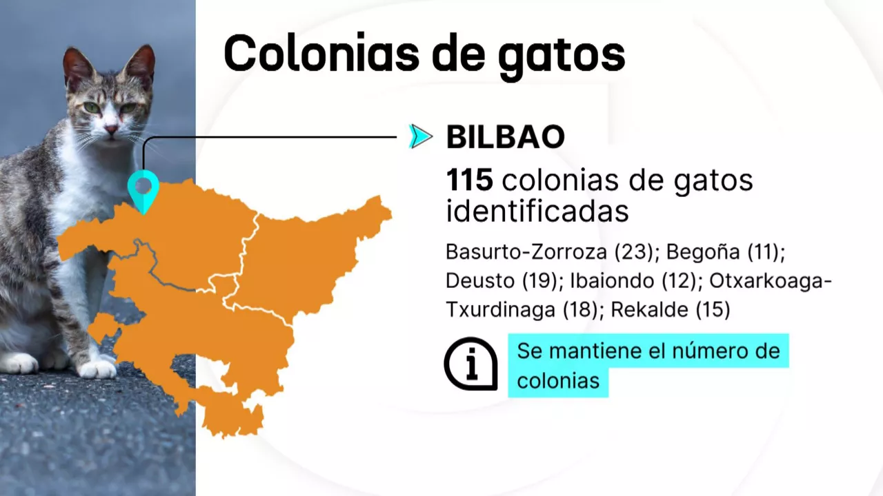 20241127102728_dlscoloniasgatos_