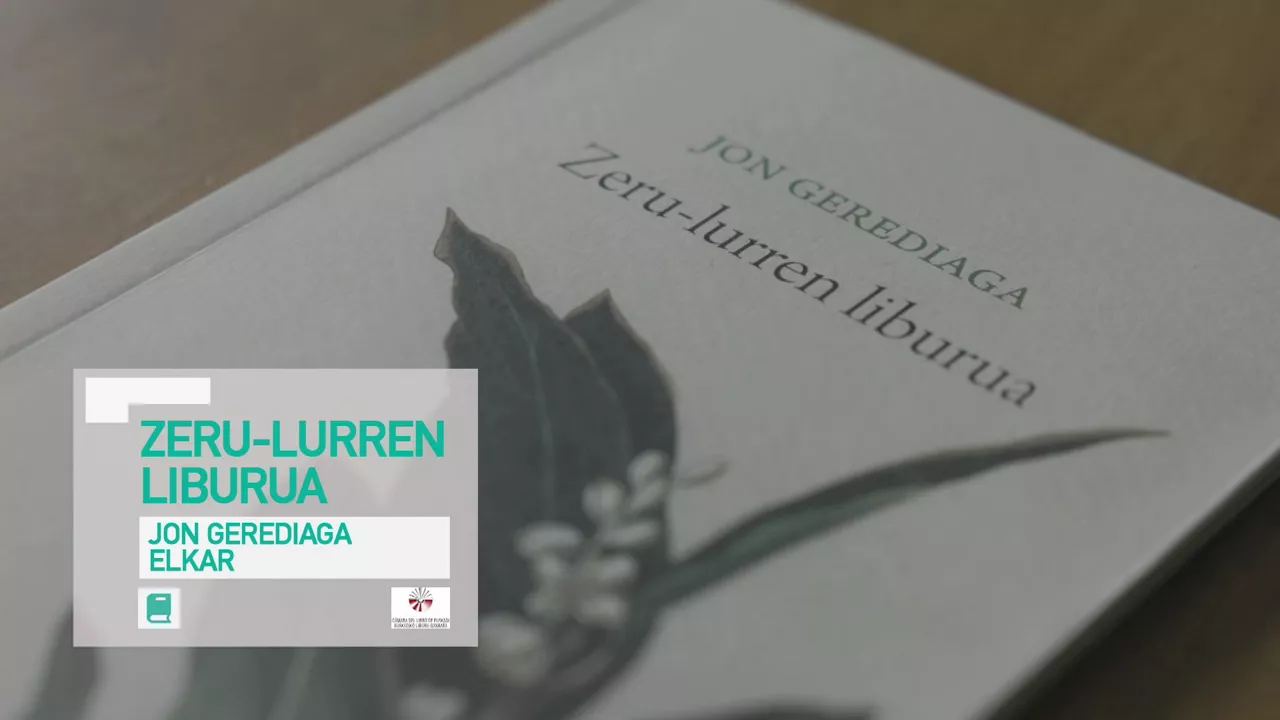 20241127105237_zerulurren-liburua_