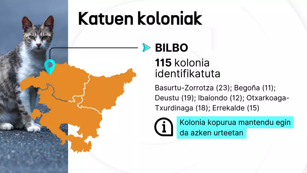 20241127111057_dlskatuenkoloniakeusk_