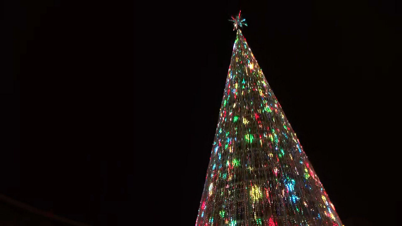 20241201200119_arbol_