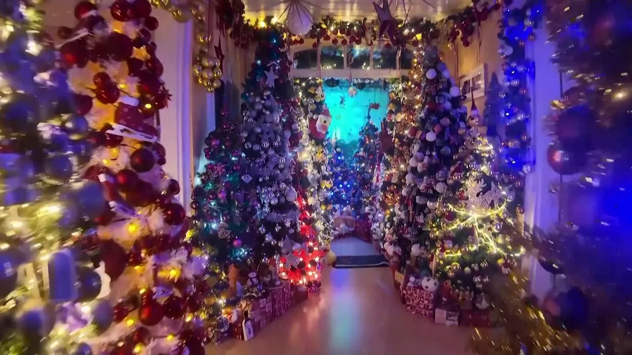 20241204093355_arboles-de-navidad_