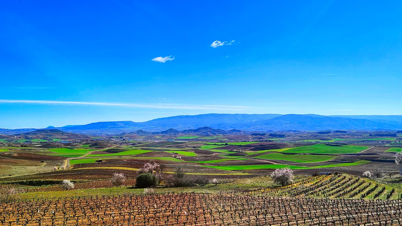 LABASTIDA