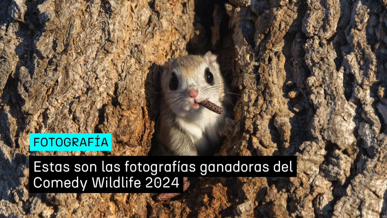 20241211181033_la-cara-mas-divertida-de-naturaleza_