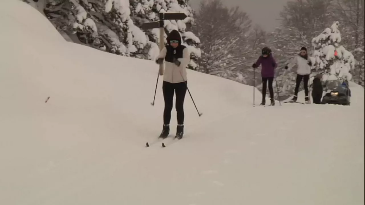 20241215152545_larra_