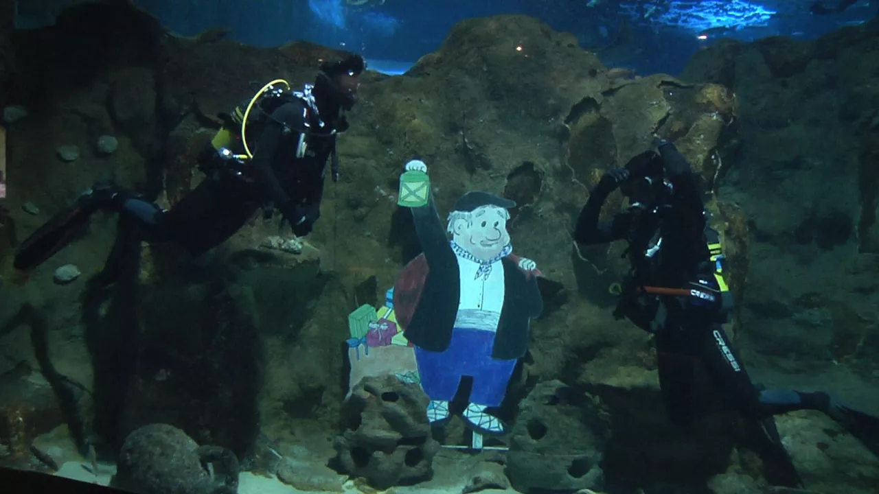 20241218121847_olentzero-aquarium_