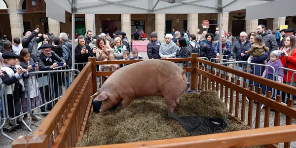 Feria de Santo Tomás en San Sebastián. Foto: EFE