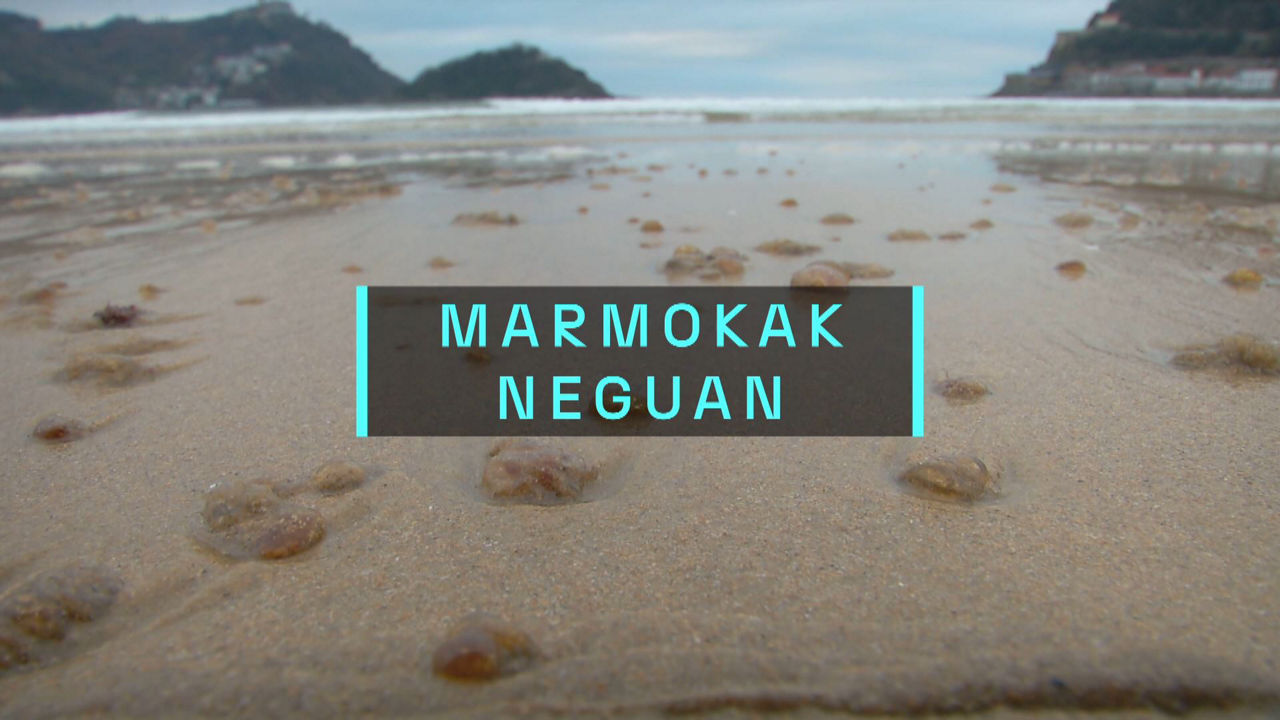 20241225201028_marmokak-neguan_