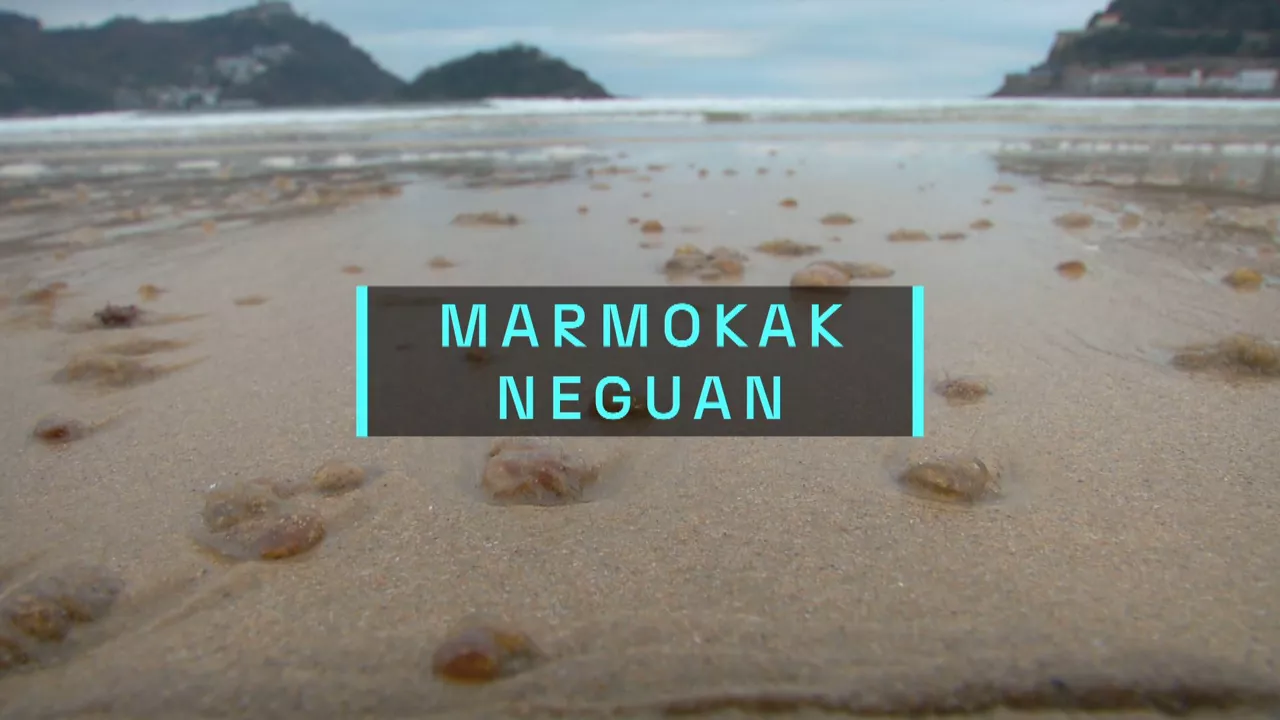 20241225201028_marmokak-neguan_