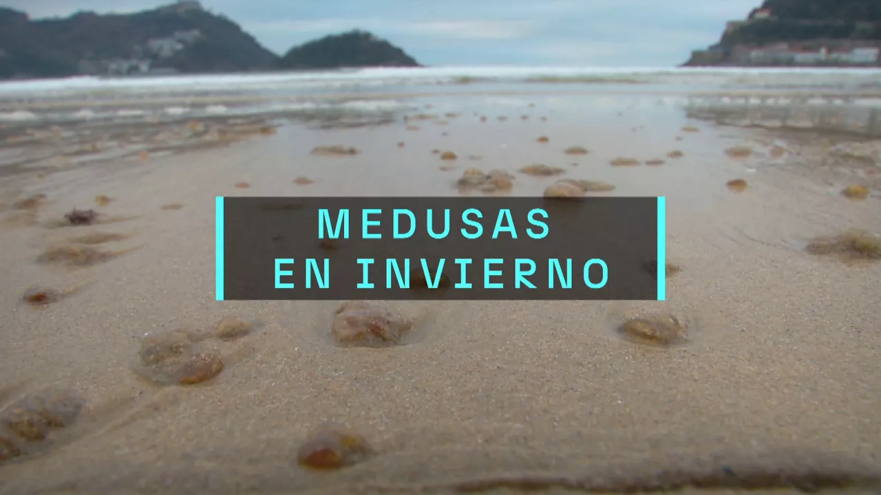 20241225202105_medusas_
