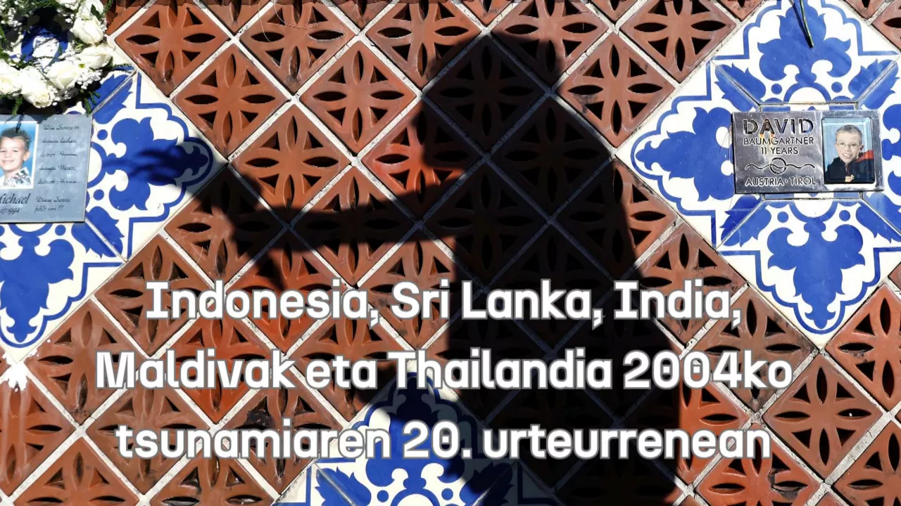 20241226114526_tsunami_
