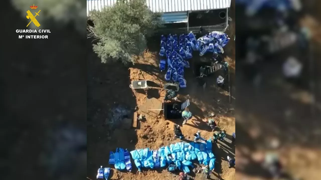 cocaina coria del rio sevilla efe