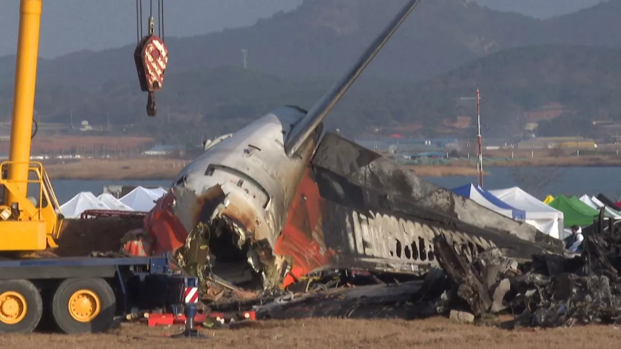 20241230171400_corea-del-sur-accidente-avion_