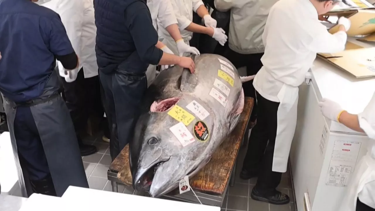 20250105112043_atun_