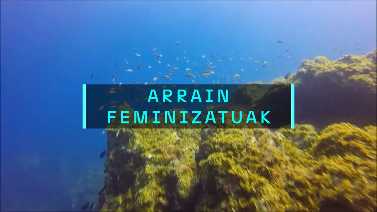 20250108165149_arrain-feminizatuak_