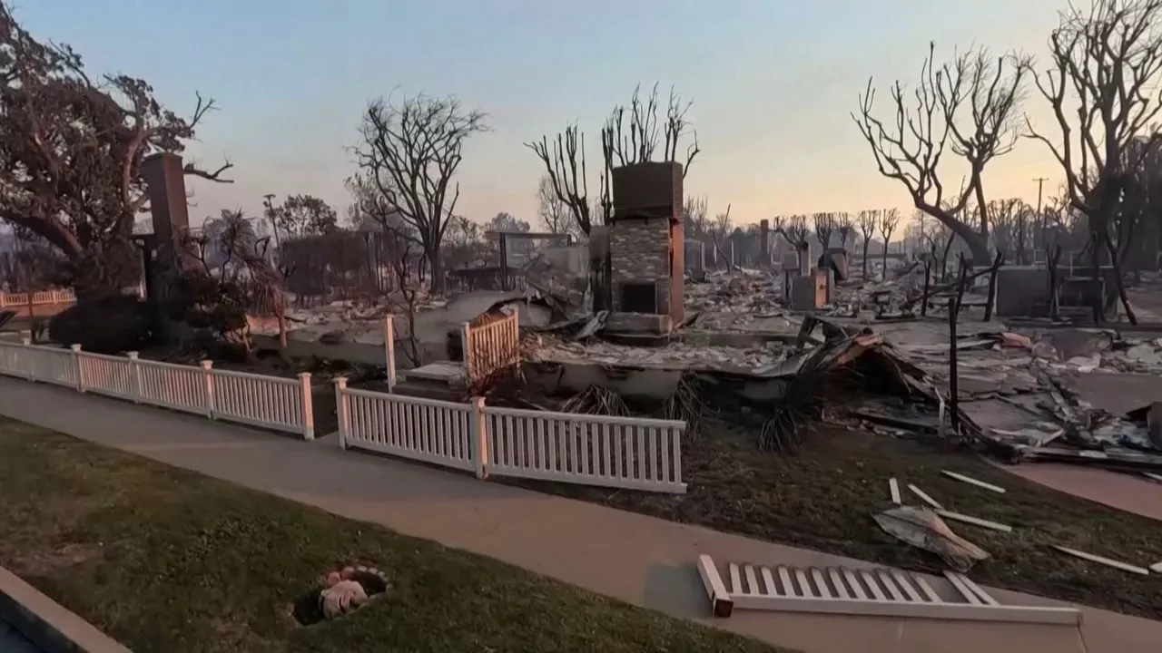 20250110092028_kalifornia_