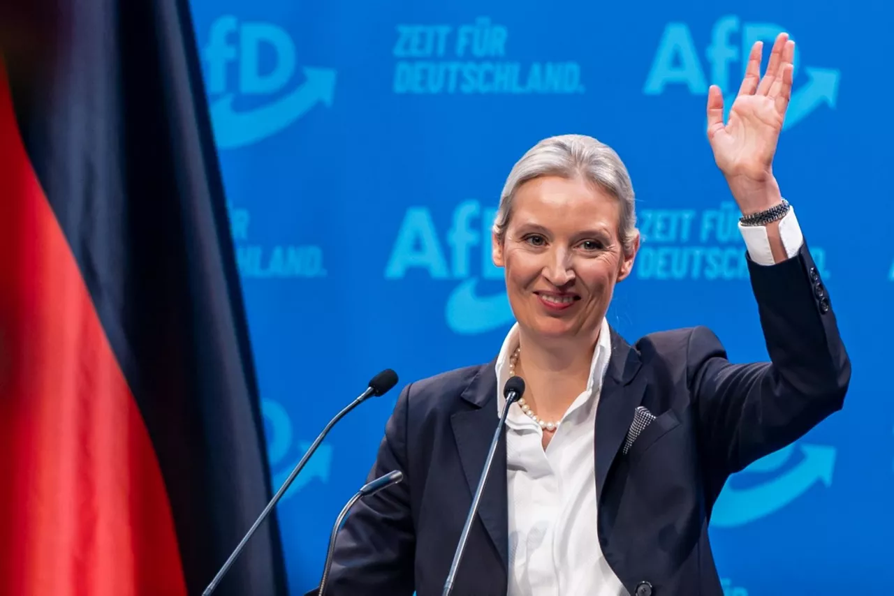 weidel_alemania efe