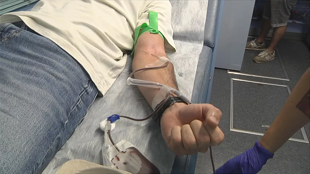 donante sangre odol emailea 