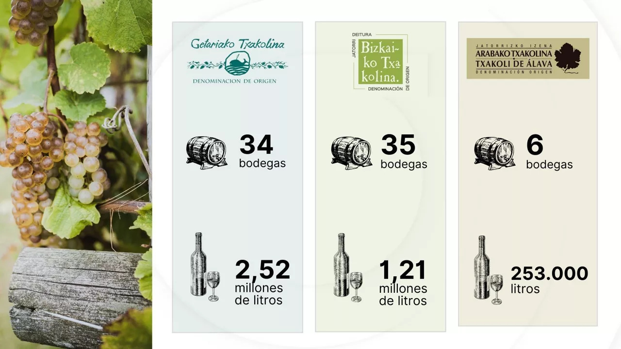 dls txakolina litros bodegas cas