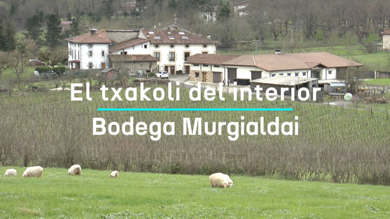 20250116164823_bodega-murgialdai-onati_