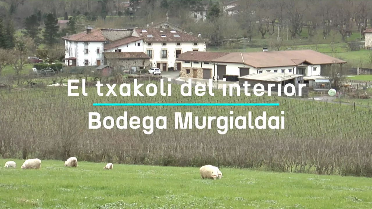 20250116164823_bodega-murgialdai-onati_