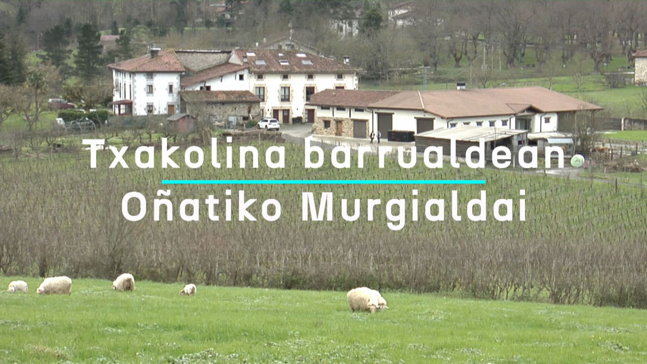 20250116171454_murgialdai-txakolin-upategia-onati_