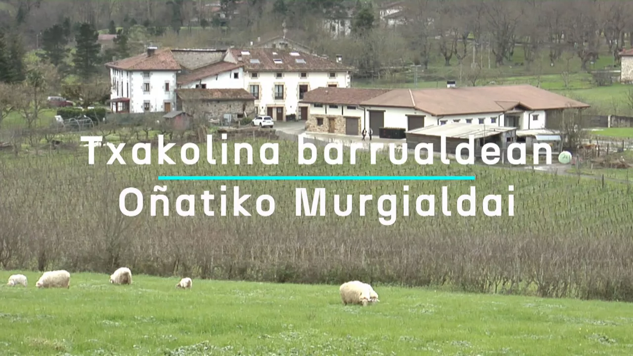 20250116171454_murgialdai-txakolin-upategia-onati_