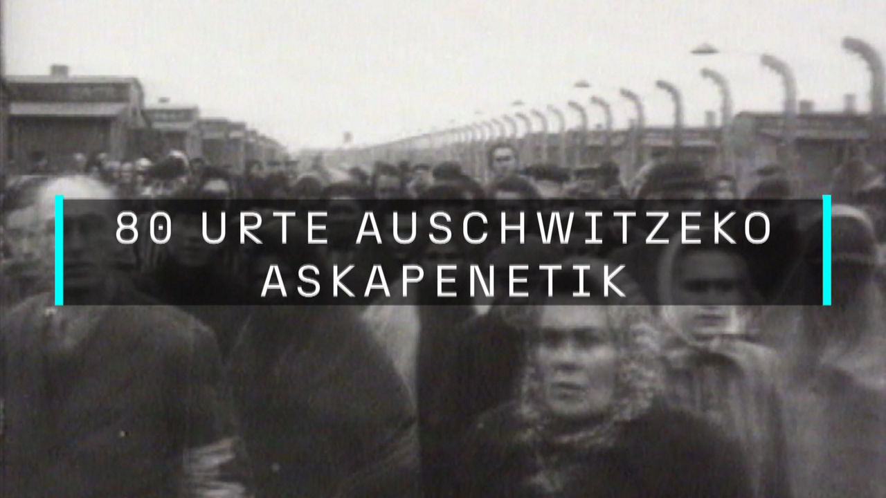 20250121183139_auschwitz_