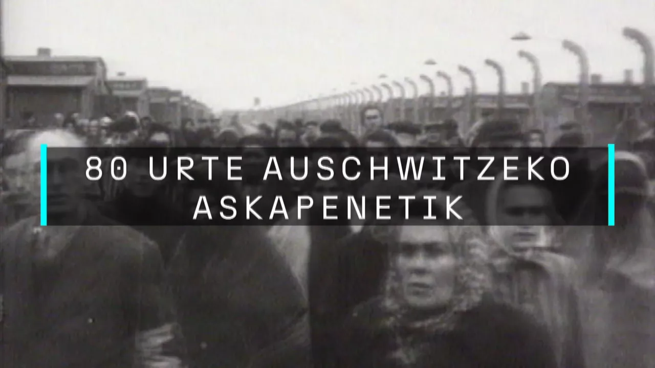 20250121183139_auschwitz_