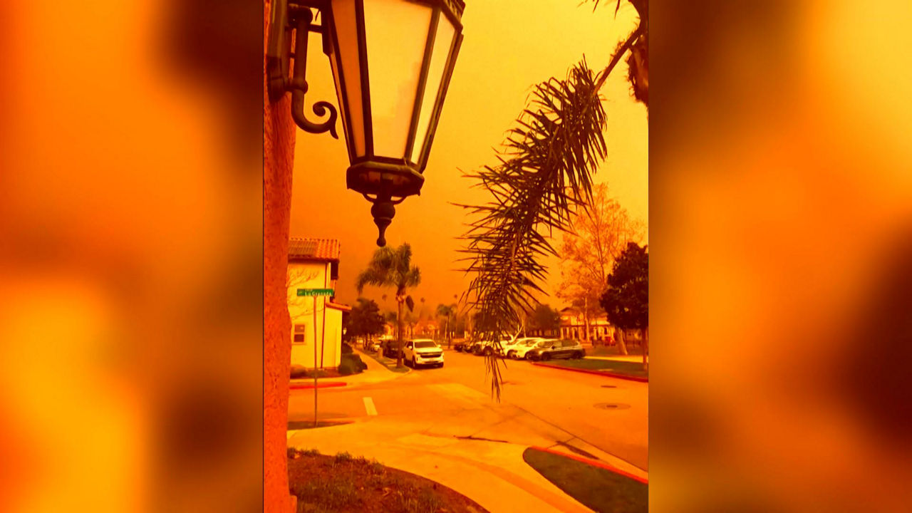 20250123092421_sutea-los-angeles_