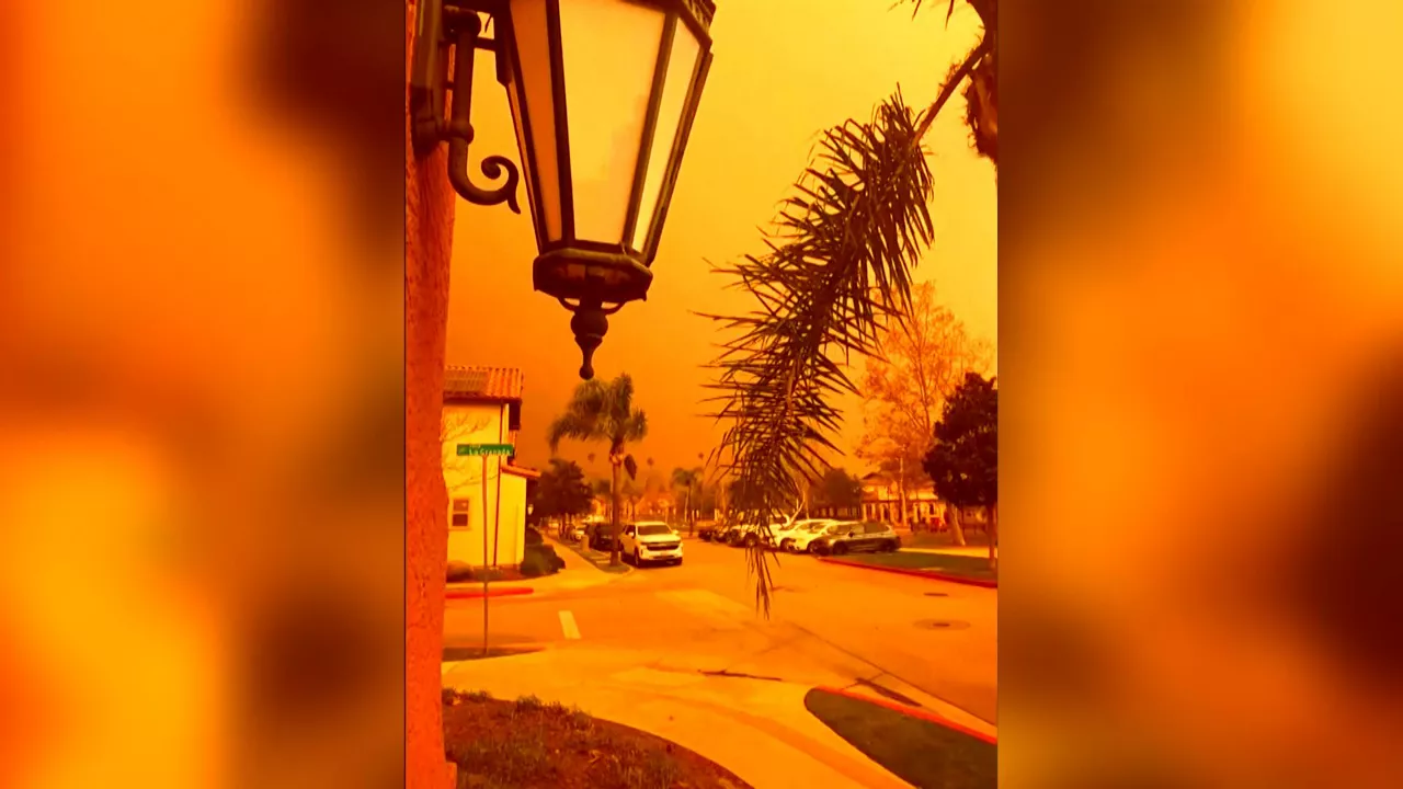 20250123092421_sutea-los-angeles_