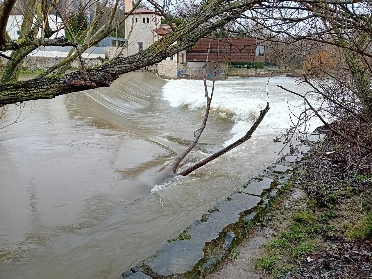 ARGA IRUÑA PAMPLONA