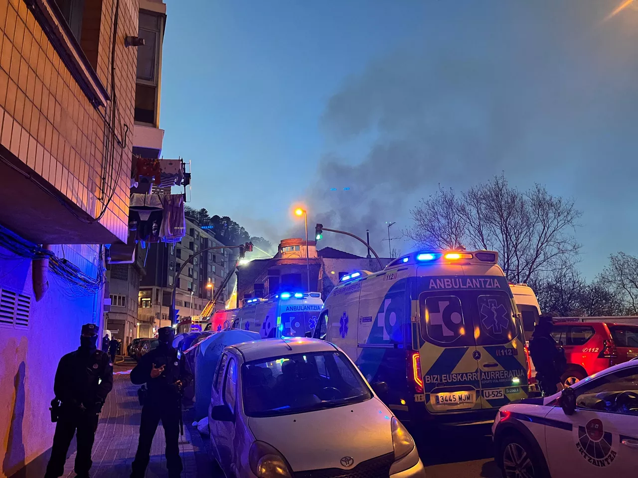 basauri sutea 2025
