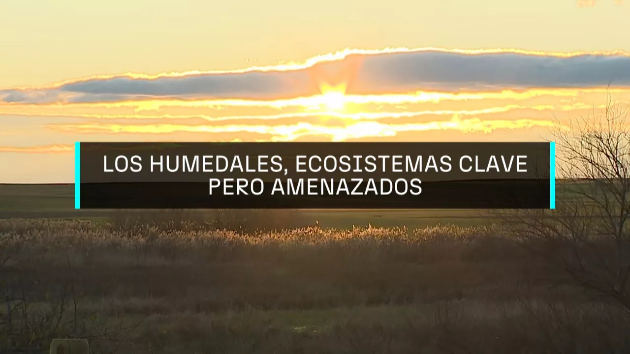 20250202092153_humedales_