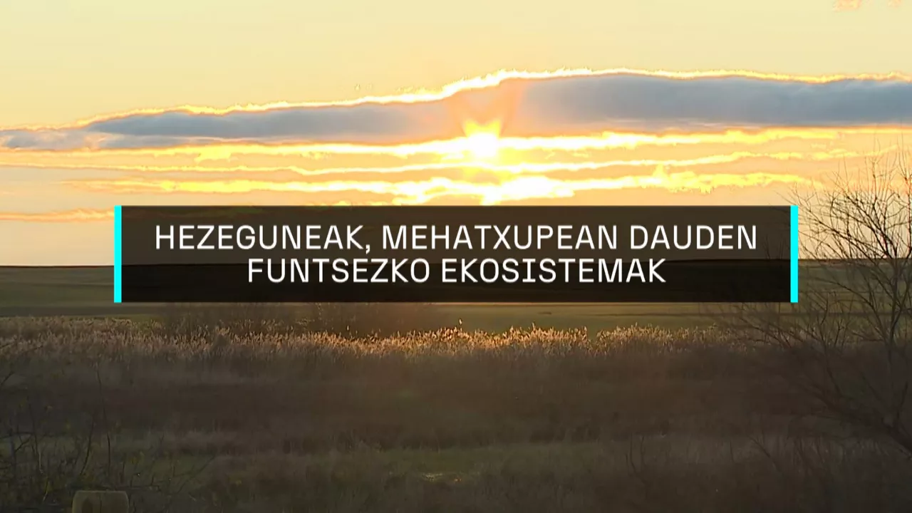 20250202093434_hezeguneak_