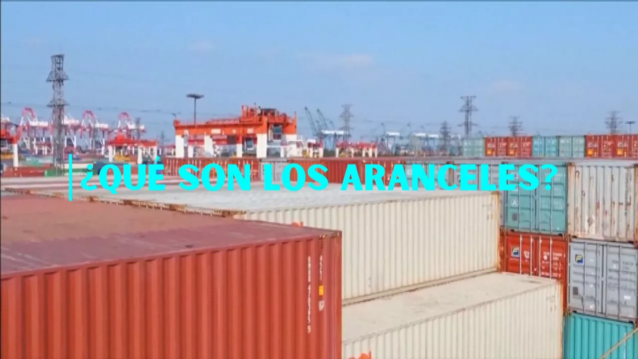 20250204135645_aranceles_