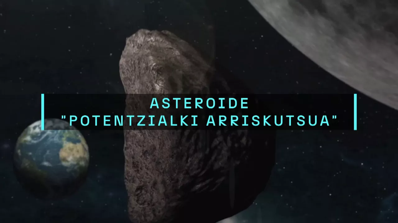 20250205170716_asteroidea_