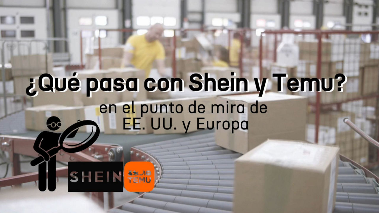 20250205200558_shein-y-temu_