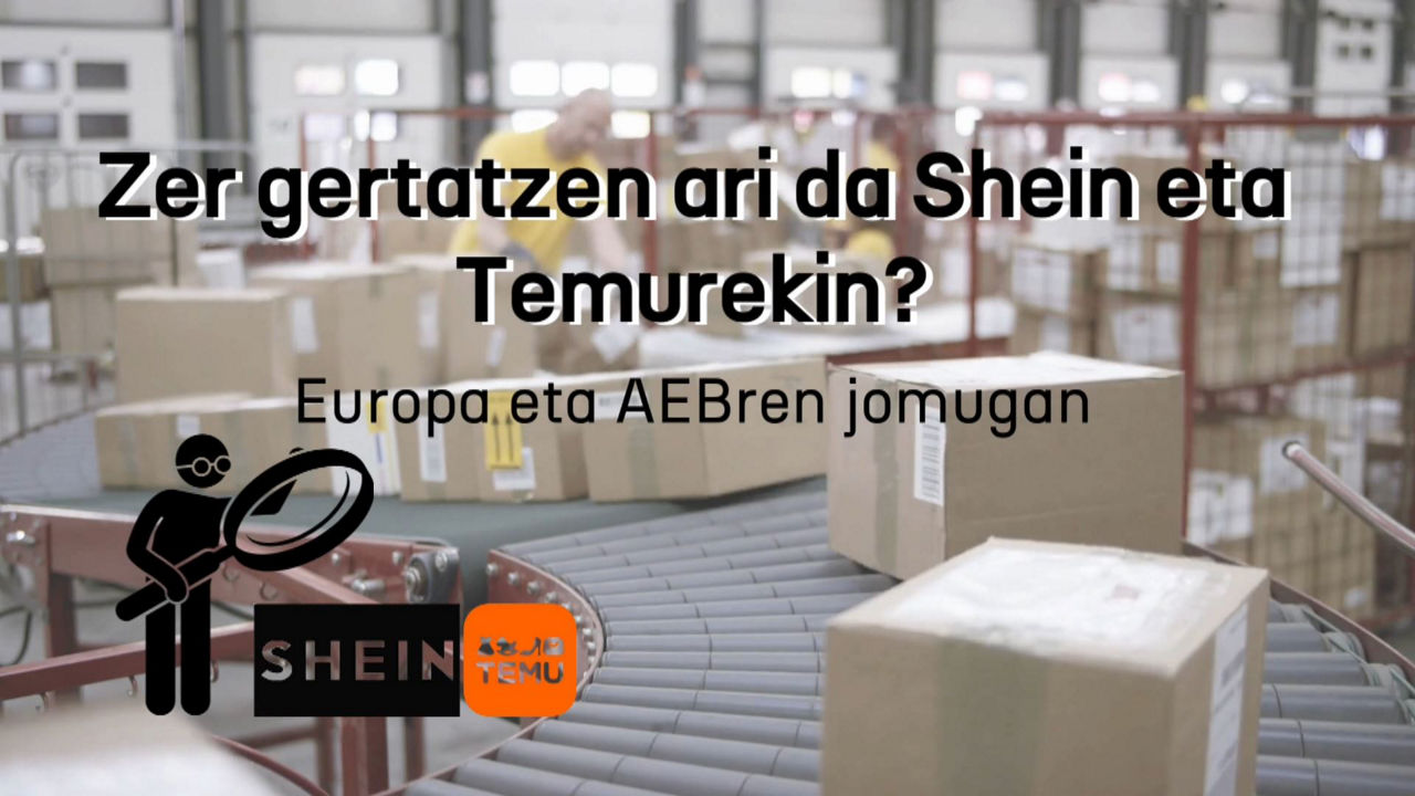 20250205201114_temu-eta-shein_