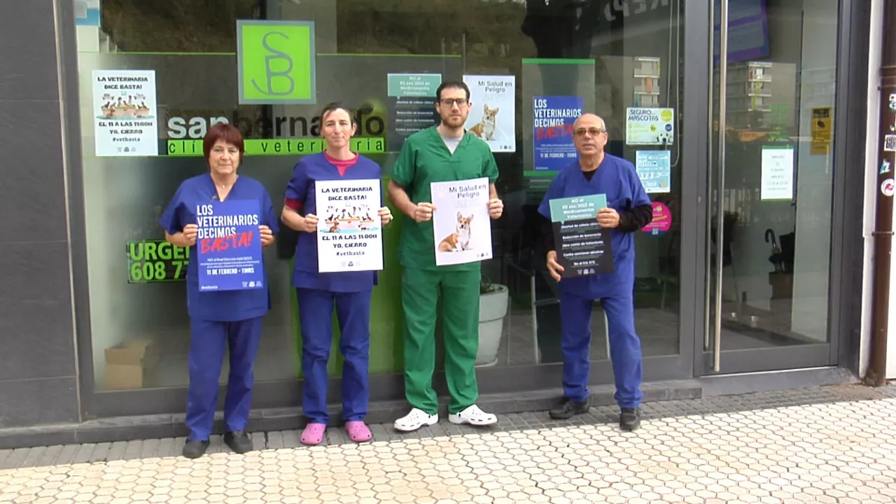 20250211130802_veterinarios_